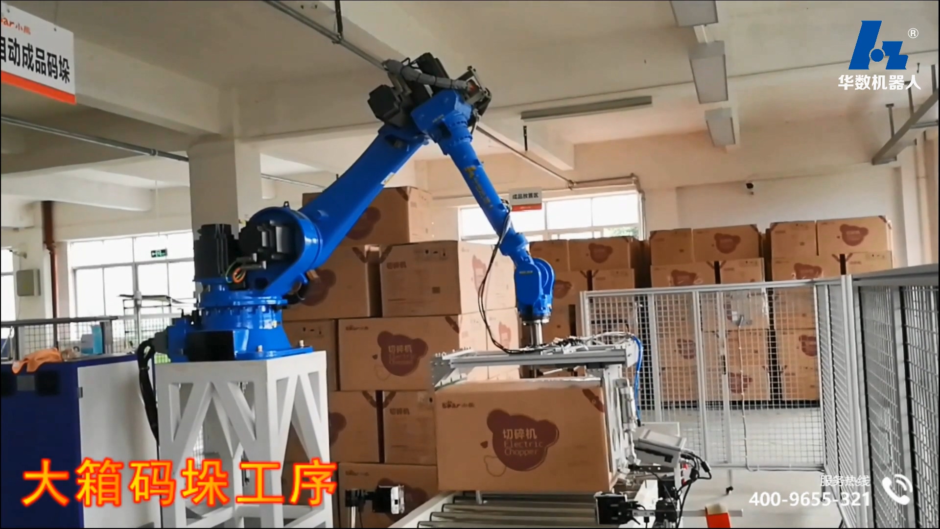 video of application of small appliances and large box palletizing
